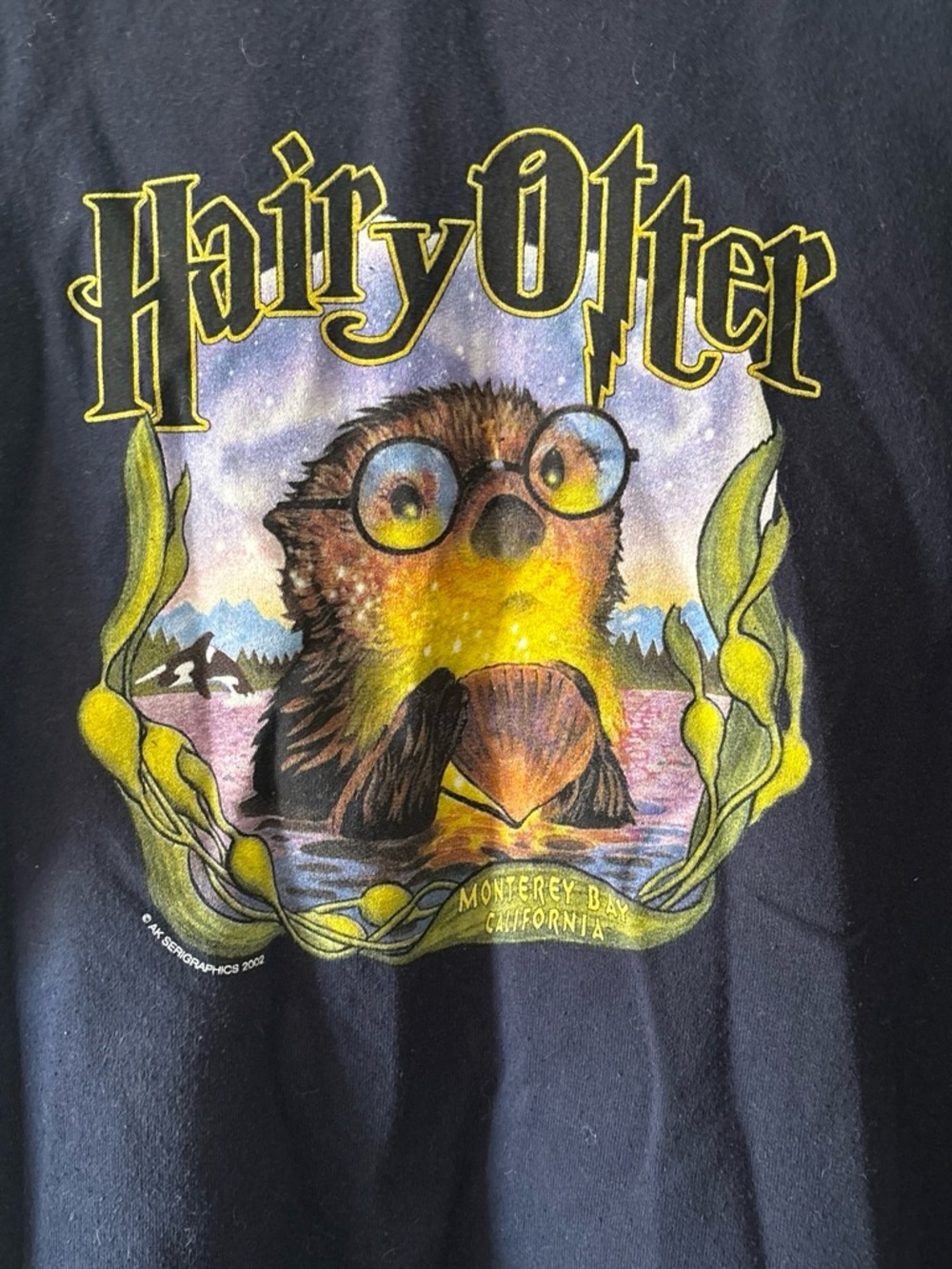 Jerzees Black Crewneck with Colorful Otter Graphic Harry Otter